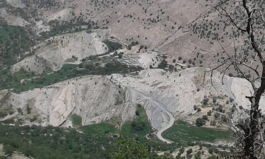 ميدجان