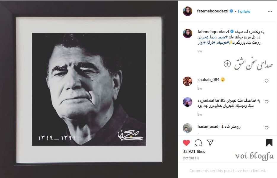 فاطمه گودرزی