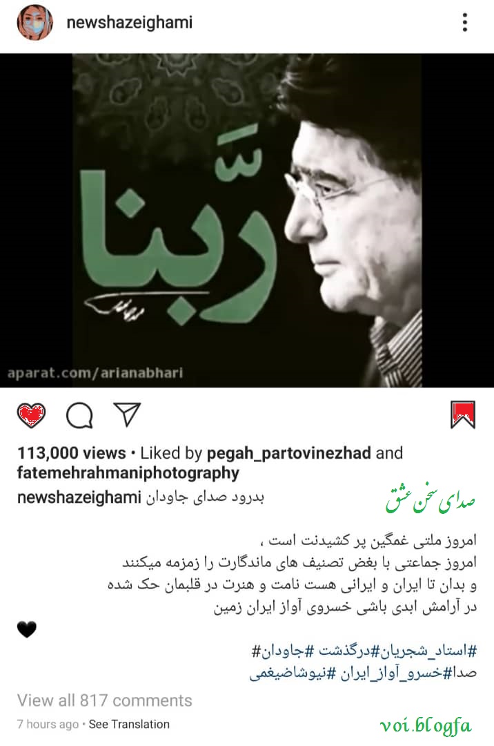 نیوشا ضیغمی