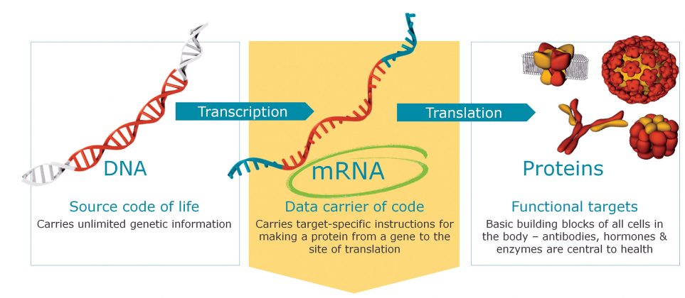 تکنولوژی mRNA شتابدهنده