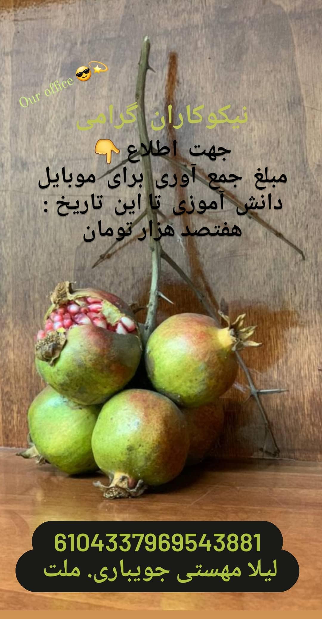 من آماده هستم تا انرژی الهی را جذب کنم I am ready to absorb the divine energy دکتر لیلا جویباری