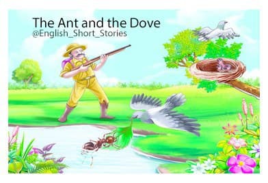 The Ant and the Dove (مورچه و قُمری)