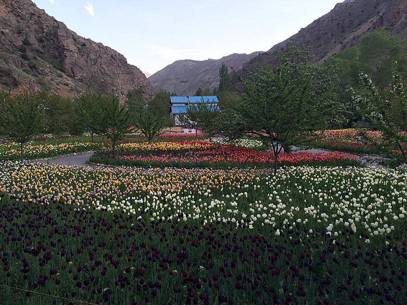 آشنایی مکانهایی با با فضای سبز در کرج