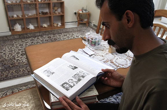 علیرضا نادری