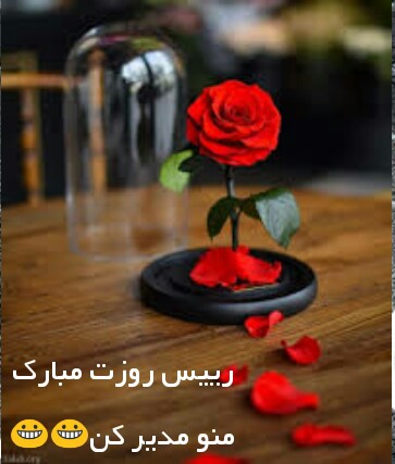 [عکس: IMG_%DB%B2%DB%B0%DB%B2%DB%B1%DB%B0%DB%B2...%DB%B2.JPG]