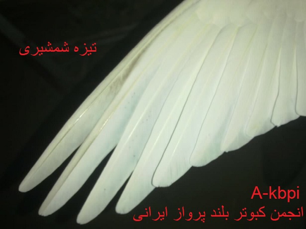 https://s16.picofile.com/file/8426746584/119fd4bc_89b8_4565_80e4_88b68c519eb5.jpg