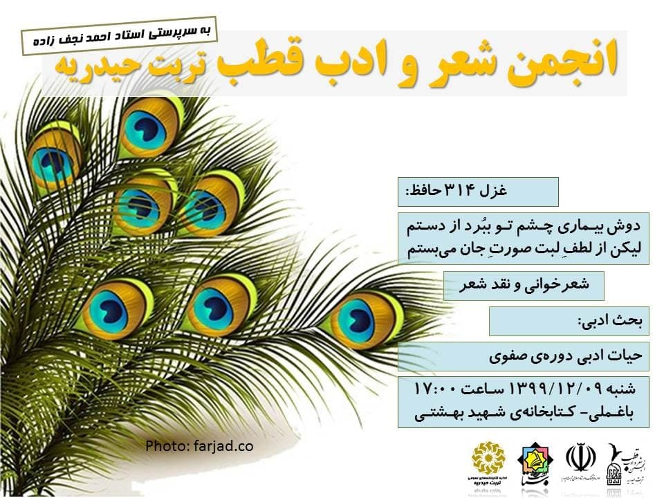 انجمن قطب تربت حیدریه