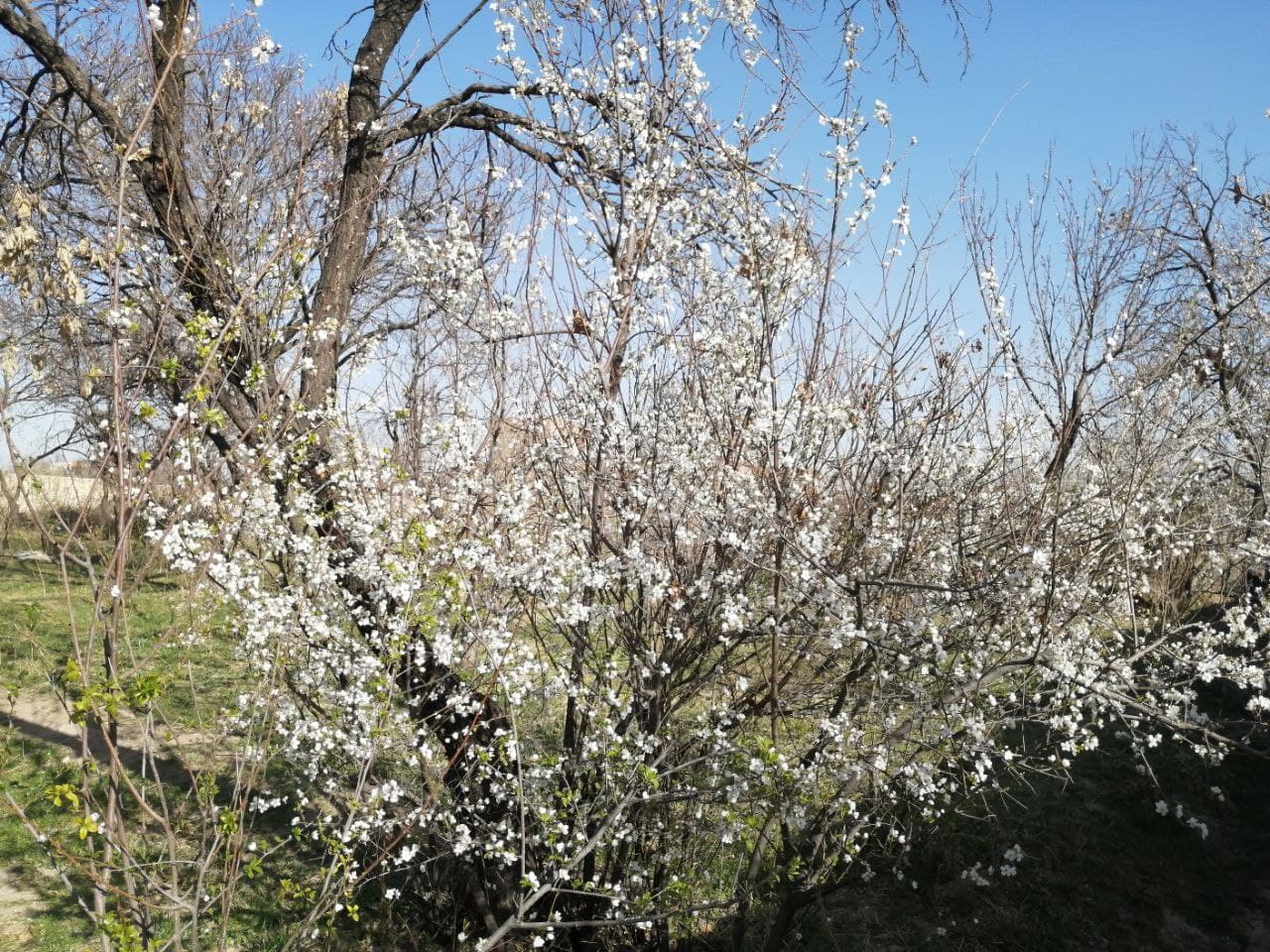 https://s17.picofile.com/file/8429026526/photo_2021_03_05_16_24_57.jpg