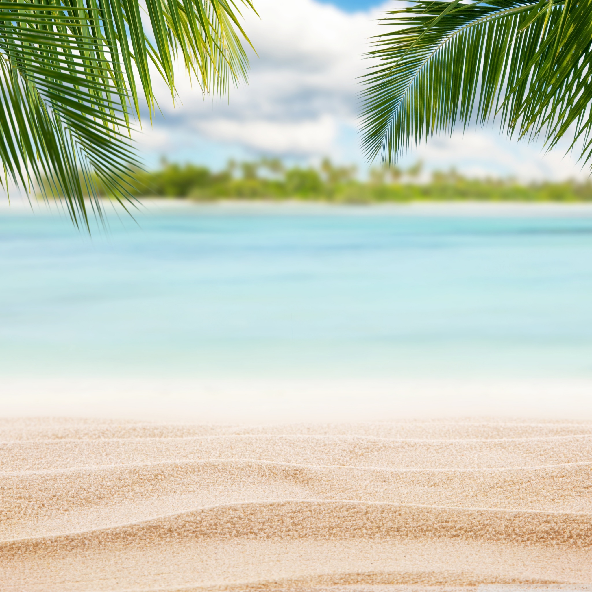 beach_nature_7_wallpaper